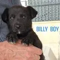 Billy