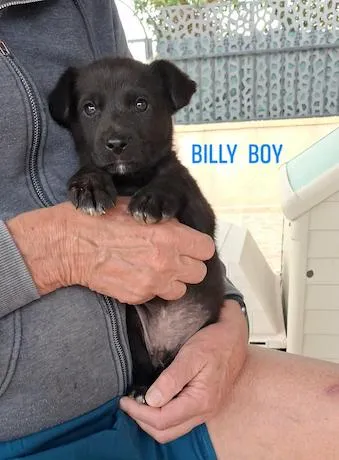 Tilly