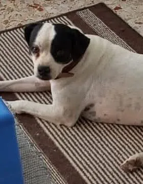 Oscar