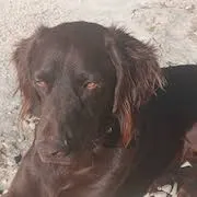 Ruben