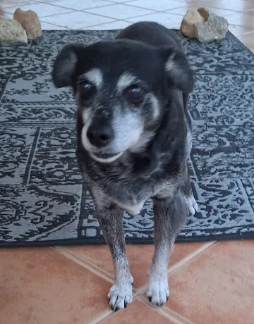 Tinker