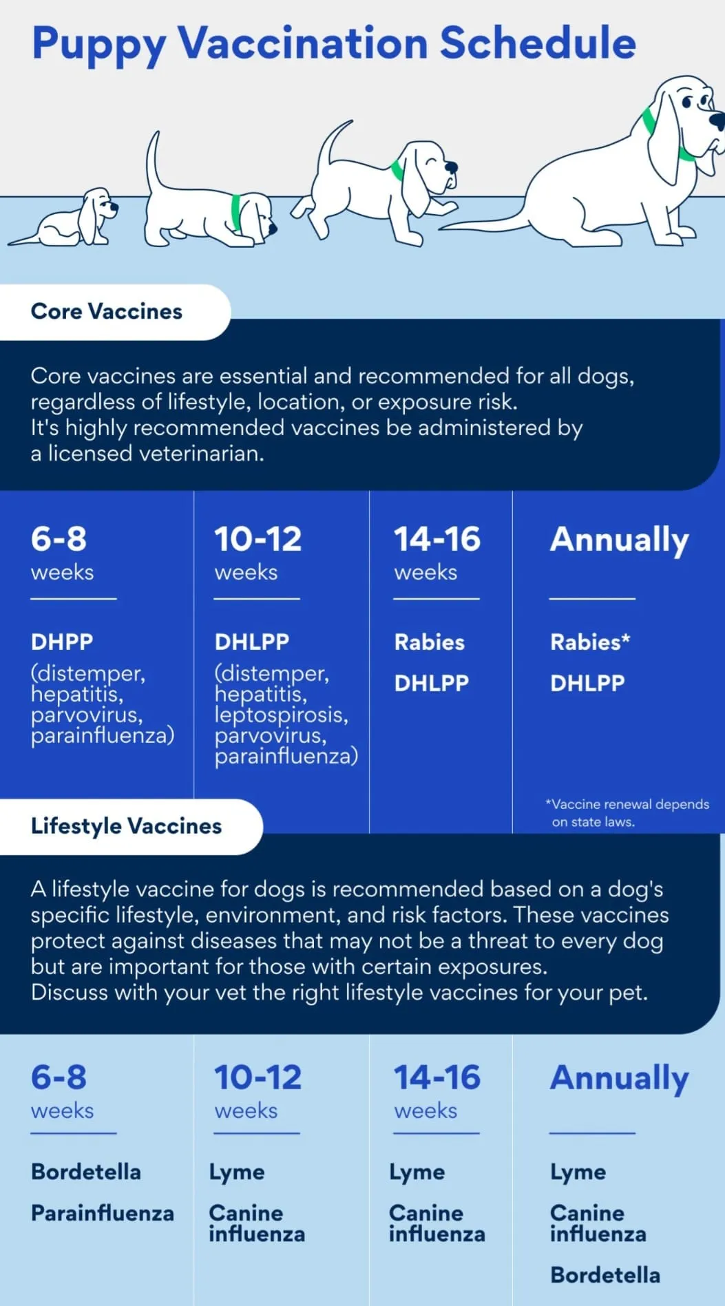 Puppy vaccine schedule chart